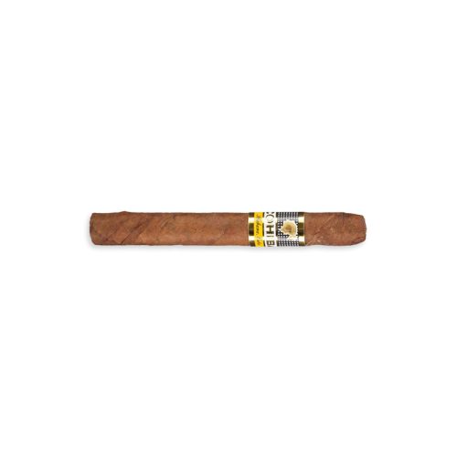 Cohiba Short Humidor Year of the Dragon 2024 (50)